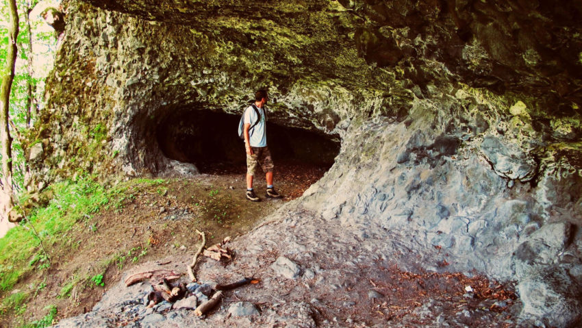 Experiență virtuală la Muzeul de Științele Naturii din Târgu Mureș
