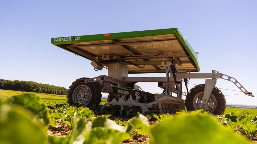 Info Gadget, cu Raluca Creț | Inteligența artificială în agricultură Info Gadget, cu Raluca Creț | Inteligența artificială în agricultură