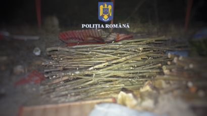 11 percheziții domiciliare în Mureș, pentru infracțiuni la regimul silvic