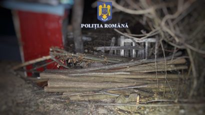 Trei persoane reținute pentru infracțiuni la regimul silvic, în Mureș