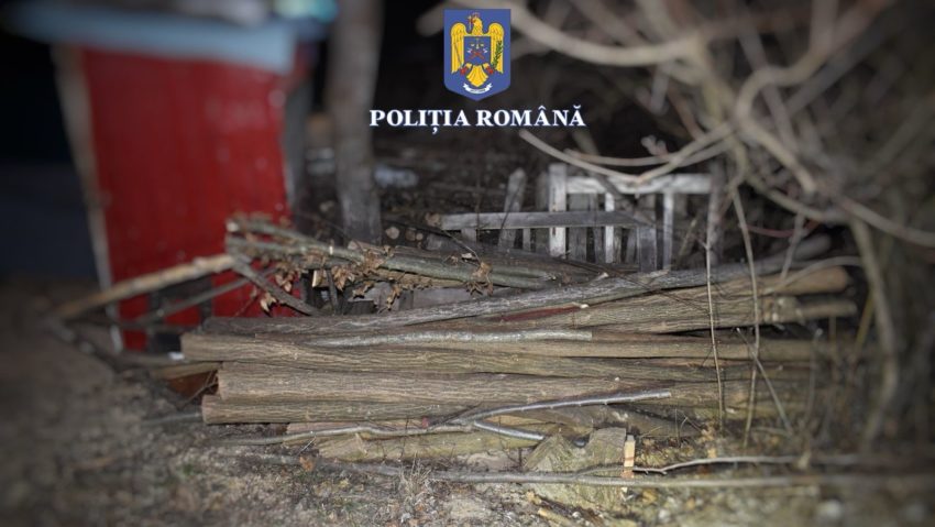 Trei persoane reținute pentru infracțiuni la regimul silvic, în Mureș
