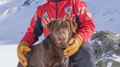 Lucky, câinele de salvare din avalanșă al Salvamont Mureș, a învățat să meargă cu elicopterul
