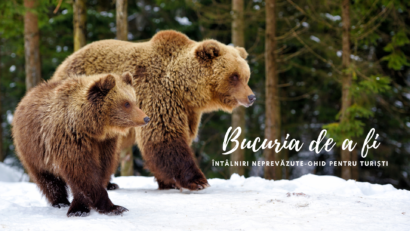 Bucuria de a fi | Întâlniri neprevăzute