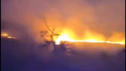 Incendiu de vegetație la Sighișoara