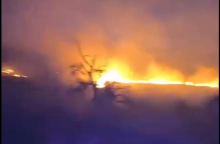 Incendiu de vegetație la Sighișoara