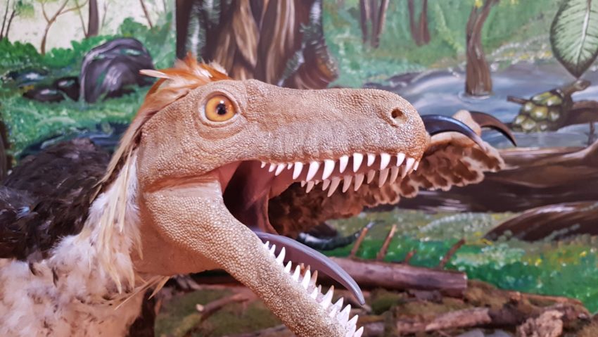 Copilării, cu Veronica Ilie – Dinozaurii sunt buni
