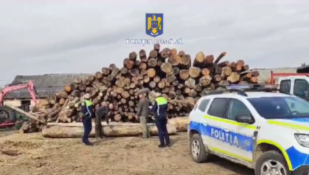 Peste 400 de metri cubi de material lemnos confiscați de polițiștii brașoveni