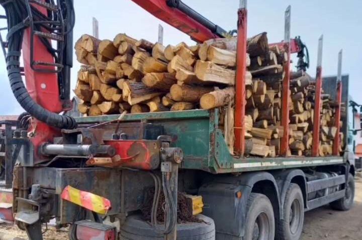 Harghita: 3 bărbați arestați pentru infracțiuni la regimul silvic Harghita: 3 bărbați arestați pentru infracțiuni la regimul silvic