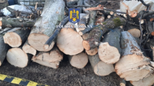 Controale silvice în Harghita