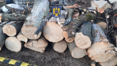 18 percheziții, în Mureș, într-un dosar penal pentru infracțiuni la regimul silvic