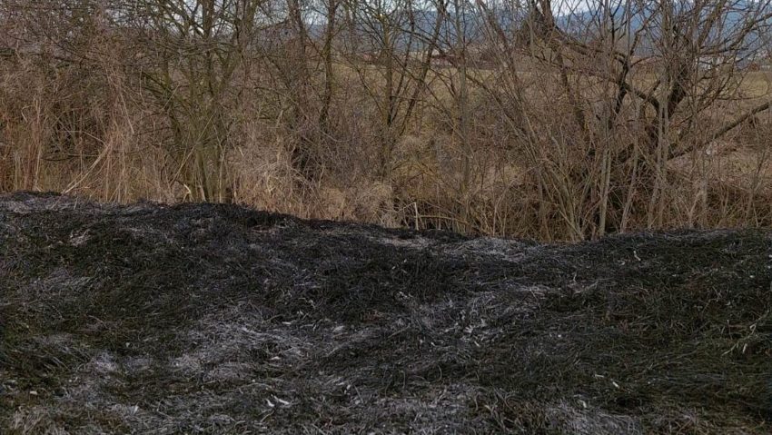 Sesizare penală făcută de Garda de Mediu Harghita, după un incendiu produs într-o arie protejată Sesizare penală făcută de Garda de Mediu Harghita, după un incendiu produs într-o arie protejată