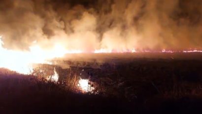 Șase hectare de vegetație uscată au ars, azi noapte, în comuna Apold