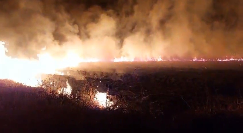 Șase hectare de vegetație uscată au ars, azi noapte, în comuna Apold Șase hectare de vegetație uscată au ars, azi noapte, în comuna Apold