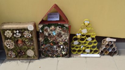 Ghid medical: Pericolul înțepăturilor de insecte