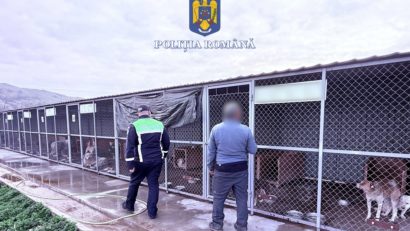 Percheziții în județul Alba, efectuate de polițiștii pentru Protecția Animalelor Mureș
