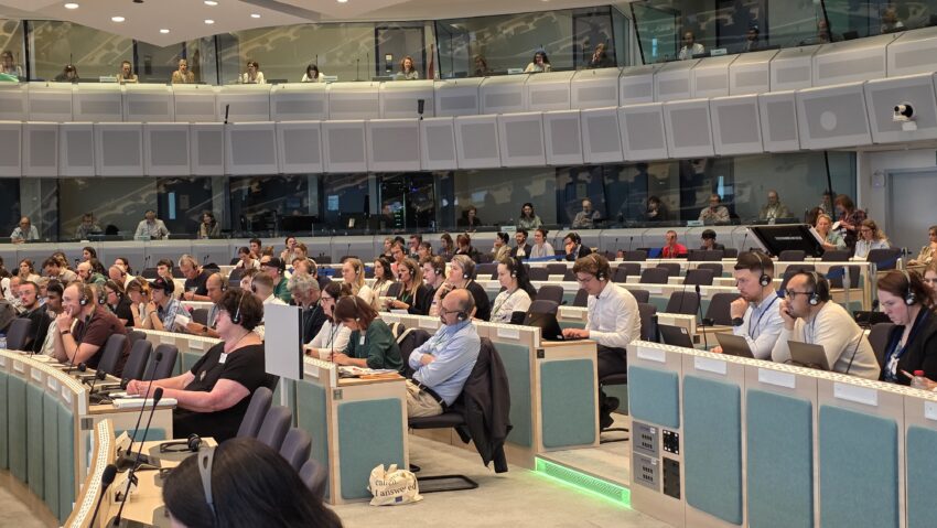 Doi mureșeni au fost invitați la Bruxelles, să reprezinte cetățenii Europei în conturarea noului buget EU