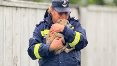 Măsuri pentru protejarea animalelor în contextul inundațiilor