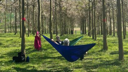 Bucuria de a fi | Paulownia festival