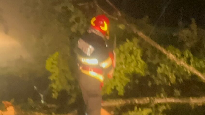 Furtuna violentă de ieri a doborât zeci de arbori în Tg. Mureș și alte patru localități mureșene Furtuna violentă de ieri a doborât zeci de arbori în Tg. Mureș și alte patru localități mureșene