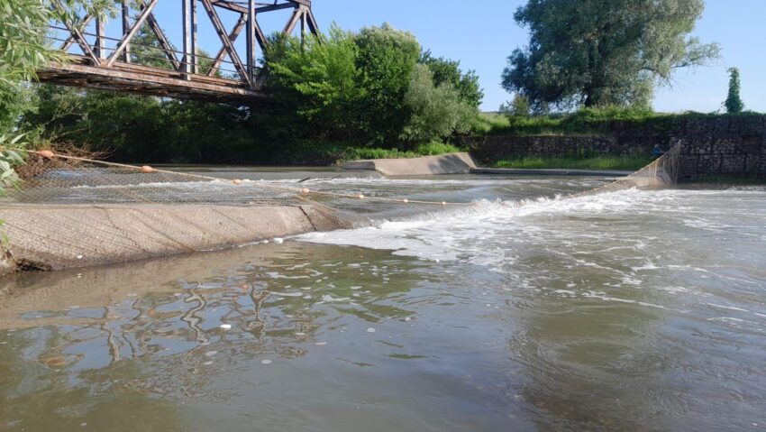 Autorităţile din judeţul Mureş au găsit soluţii tehnice pentru rezolvarea problemei salinităţii în râul Târnava Mică Autorităţile din judeţul Mureş au găsit soluţii tehnice pentru rezolvarea problemei salinităţii în râul Târnava Mică