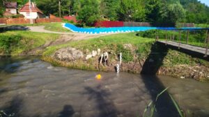 Creşteri foarte mari ale concentraţiilor de cloruri pe Corund şi Târnava Mică