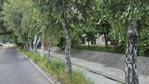 ANM: Alerte de vânt puternic în mare parte din ţară şi ninsori viscolite la munte