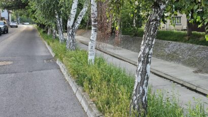 Peste 300 de tone de aluviuni și deșeuri, scoase la Tg.Mureș din Pocloș