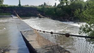 Autoritățile din Mureș acționează în mod coordonat pentru protejarea mediului și sprijinirea comunităților afectate de poluarea râului Târnava Mică