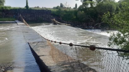 Autoritățile din Mureș acționează în mod coordonat pentru protejarea mediului și sprijinirea comunităților afectate de poluarea râului Târnava Mică
