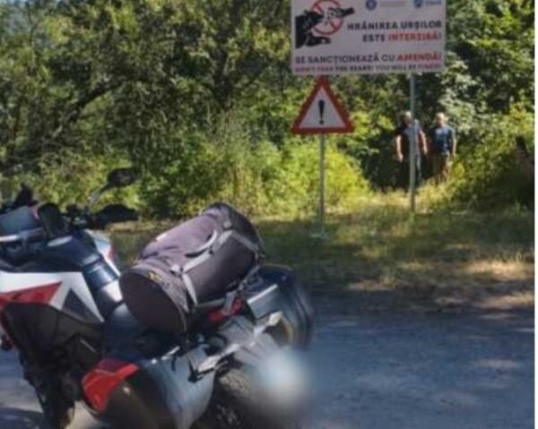 Un motociclist italian a murit pe Transfăgărășan, după ce a fost atacat de un urs Un motociclist italian a murit pe Transfăgărășan, după ce a fost atacat de un urs