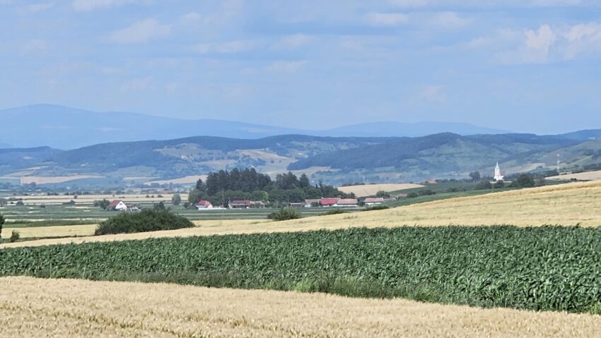 Producţia de fân din Harghita, afectată de vremea nefavorabilă