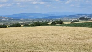 Fermierii pot depune cererile de plată la APIA până pe 5 iunie