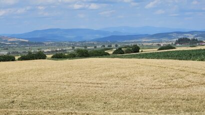 Fermierii pot depune cererile de plată la APIA până pe 5 iunie