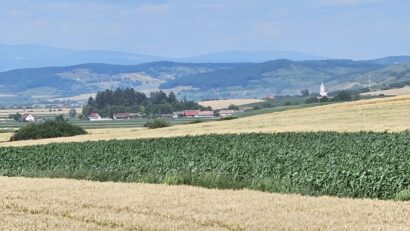 A crescut suprafața agricolă pentru subvenții, în Mureș