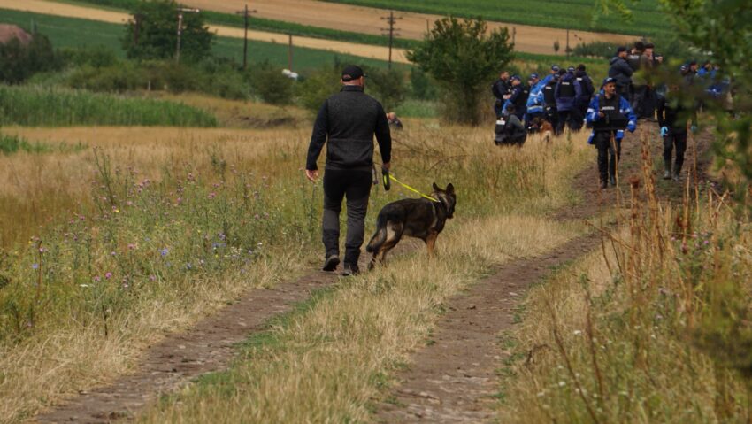 Poliţiştii care îl caută pe criminalul din Miheşu de Câmpie se plâng de condiţiile foarte grele de muncă Poliţiştii care îl caută pe criminalul din Miheşu de Câmpie se plâng de condiţiile foarte grele de muncă
