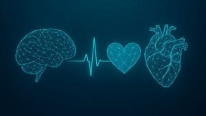 Guvernul a adoptat strategia naţională pentru combaterea bolilor cardiovasculare