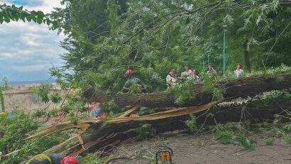Dezbatere inedită la Brașov pe tema pericolului arborilor de pe Tâmpa