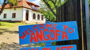 Proiect de educație ecologică a copiilor din mediul rural