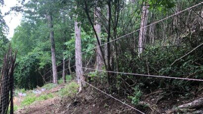 Au fost instalați primii 800 de metri de gard electric „anti-urs”, la Râșnov