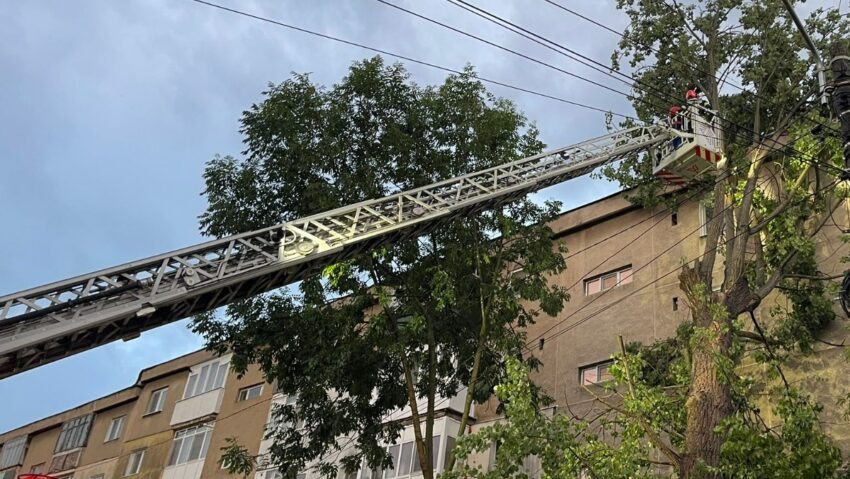 Ploile şi vântul puternic din ultimele 24 de ore au creat probleme în peste 80 de localităţi din 19 judeţe din ţară Ploile şi vântul puternic din ultimele 24 de ore au creat probleme în peste 80 de localităţi din 19 judeţe din ţară
