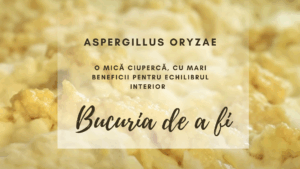 Bucuria de a fi | Koji Ferment