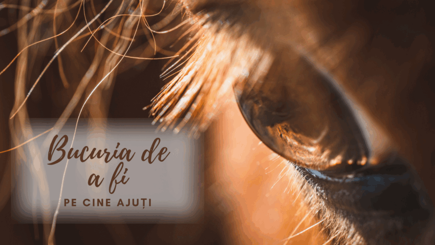 Bucuria de a fi | Pe cine ajuți Bucuria de a fi | Pe cine ajuți