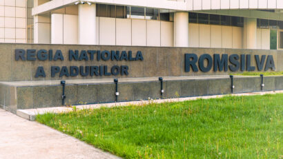 Guvernul a modificat legea privind Codul silvic