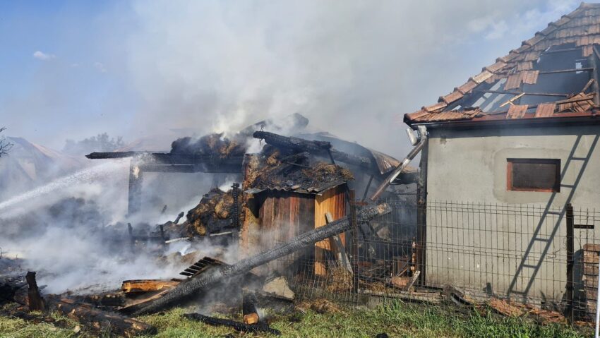 Mureș: 49 de animale au ars într-un incendiu într-o gospodărie din Aluniș