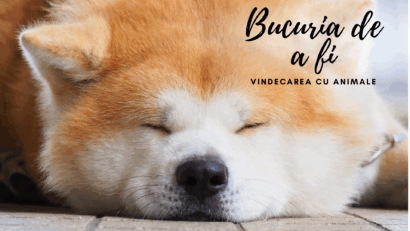 Bucuria de a fi | Terapie cu câini