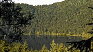 Staţiunea Băile Tuşnad îşi reface zonele verzi cu sprijinul oraşelor înfrăţite