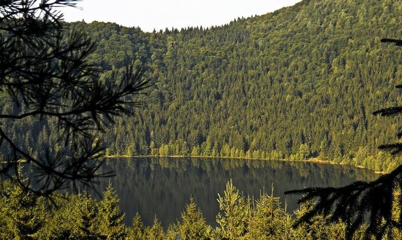 Centrul Ecoturistic Lacul Sfânta Ana – Tinovul Mohoş a fost inaugurat oficial astăzi