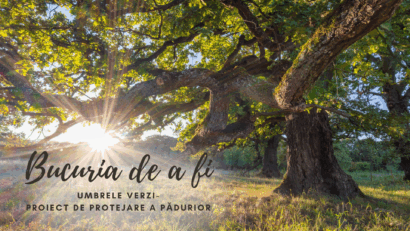 Bucuria de a fi | Umbrele verzi