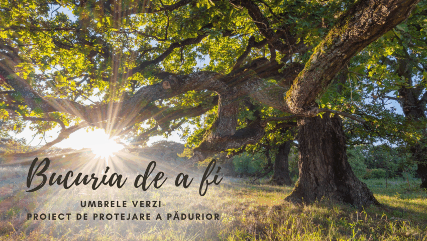 Bucuria de a fi | Umbrele verzi
