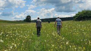 Fundația ADEPT Transilvania a câștigat o finanțare pentru conservarea biodiversității din Angofa